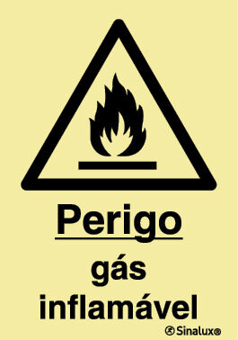 P1264 PVC fotoluminescente 200x300 TIPO 1