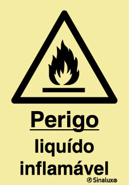 P1261 PVC fotoluminescente 400x600 TIPO 3