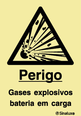 P1256 PVC opaco 200x300 TIPO 1