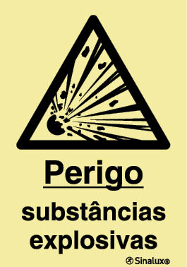 P1254 PVC fotoluminescente 400x600 TIPO 1