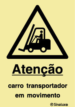 P1212 PVC fotoluminescente 200x300 TIPO 1