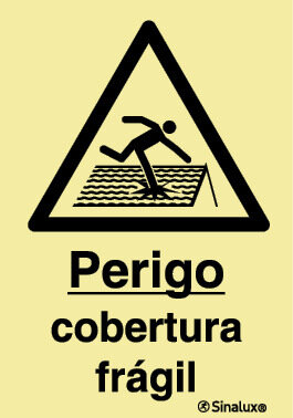 P1168 PVC fotoluminescente 200x300 TIPO 1