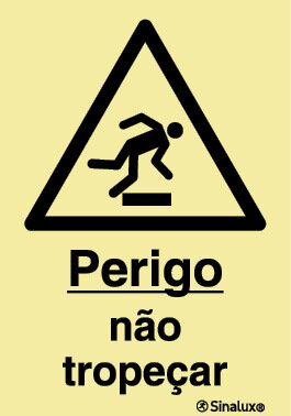 P1163 PVC fotoluminescente 400x600 TIPO 1