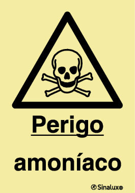 P1126 PVC fotoluminescente 200x300 TIPO 1