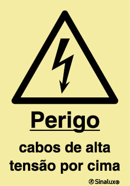 P1116 PVC fotoluminescente 200x300 TIPO 3