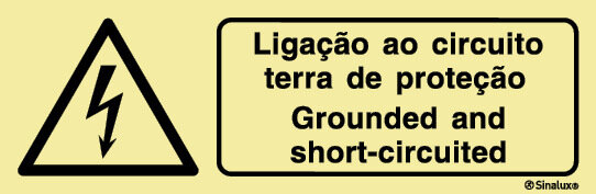P4829 Vinil fotoluminescente 300x100 TIPO 1