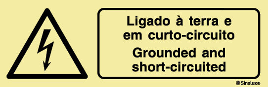 P4828 Vinil fotoluminescente 300x100 TIPO 1