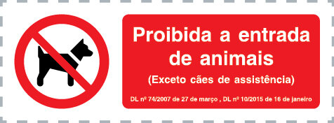 P4307 Vinil autocolante opaco 300x100 TIPO 1