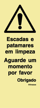 P4222 PVC fotoluminescente 300x800 TIPO P