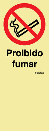 P4209 PVC fotoluminescente 300x800 TIPO P