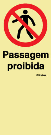 P4208 PVC fotoluminescente 300x800 TIPO P