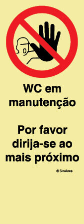 P4206 PVC fotoluminescente 300x800 TIPO P