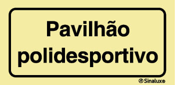 P4164 PVC fotoluminescente 200x100 TIPO 1