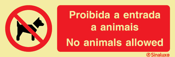P3932 PVC fotoluminescente 600x200 TIPO 1