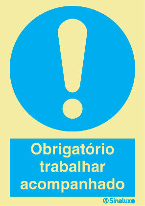 P1631 PVC fotoluminescente 300x400 TIPO 2