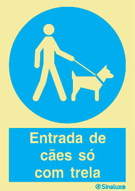 P1616 PVC fotoluminescente 200x300 TIPO 1