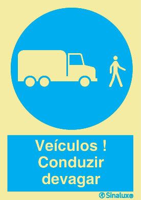 P1562 PVC fotoluminescente 300x400 TIPO 3