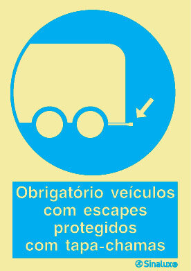 P1550 PVC fotoluminescente 200x300 TIPO 1