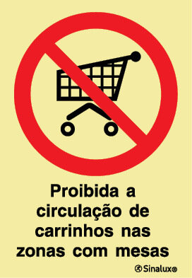 P1933 PVC fotoluminescente 300x400 TIPO 1