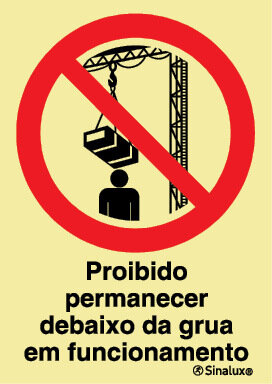 P1888 PVC fotoluminescente 150x200 TIPO 2