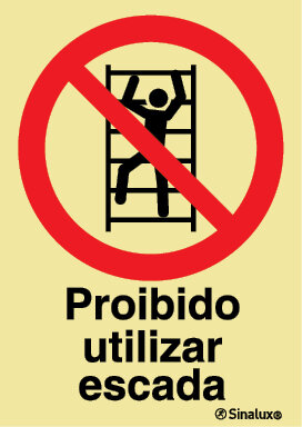 P1887 PVC fotoluminescente 300x400 TIPO 3