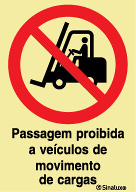 P1884 PVC fotoluminescente 400x600 TIPO 2