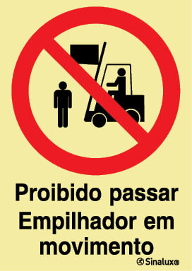P1882 PVC fotoluminescente 200x300 TIPO 1