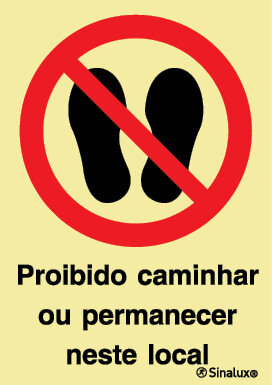 P1790 PVC fotoluminescente 200x300 TIPO 2