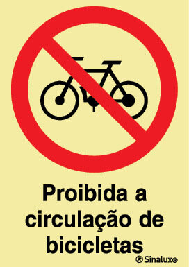 P1787 PVC fotoluminescente 200x300 TIPO 2
