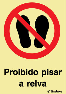 P1783 PVC fotoluminescente 200x300 TIPO 2