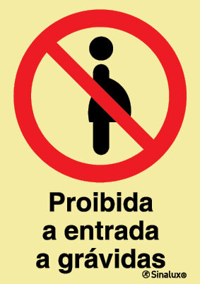 P1748 PVC fotoluminescente 200x300 TIPO 3