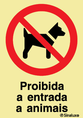 P1747 PVC fotoluminescente 200x300 TIPO 1