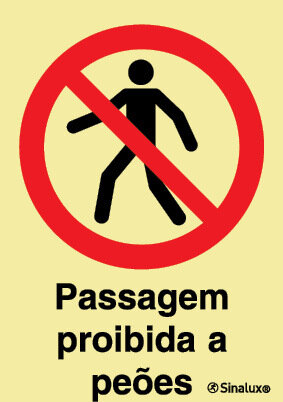 P1738 PVC fotoluminescente 400x600 TIPO 3
