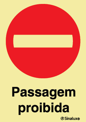 P1731 PVC fotoluminescente 300x400 TIPO 2