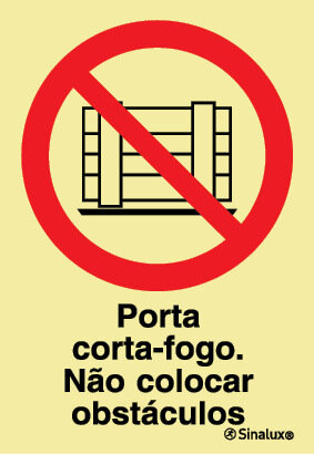 P1689 PVC fotoluminescente 300x400 TIPO 3
