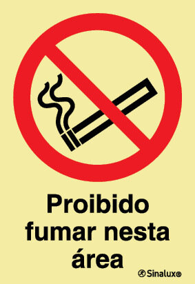 P1682 PVC fotoluminescente 300x400 TIPO 1