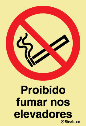 P1681 PVC fotoluminescente 200x300 TIPO 1