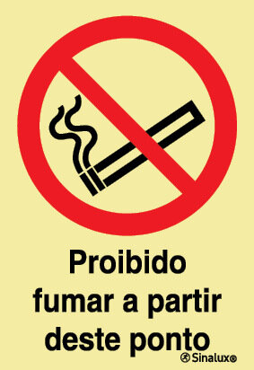 P1679 PVC fotoluminescente 400x600 TIPO 2