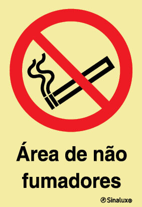 P1677 PVC fotoluminescente 400x600 TIPO 2