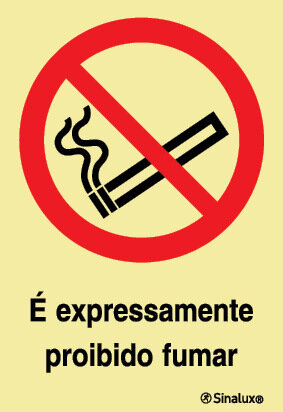 P1676 PVC fotoluminescente 200x300 TIPO 3