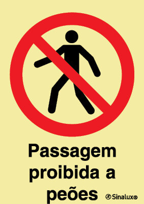 P1738 PVC fotoluminescente 150x200 TIPO 1