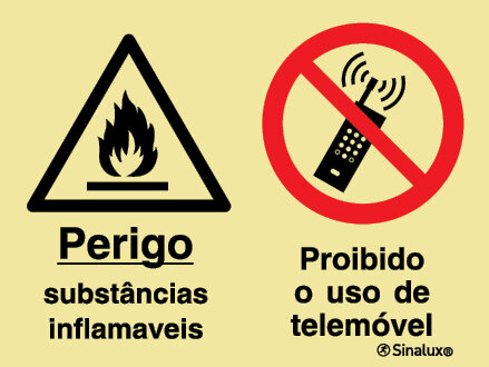 P2172 PVC fotoluminescente 400x300 TIPO 3