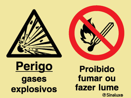P2166 PVC fotoluminescente 600x400 TIPO 2