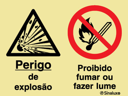 P2165 PVC fotoluminescente 600x400 TIPO 1