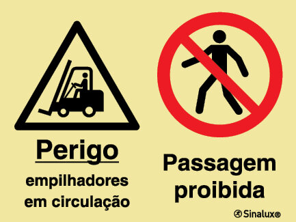 P2164 PVC fotoluminescente 800x600 TIPO 3