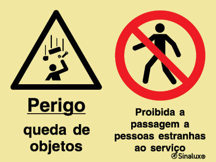 P2161 PVC fotoluminescente 800x600 TIPO 1