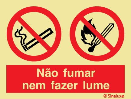 P2132 PVC fotoluminescente 400x300 TIPO 3