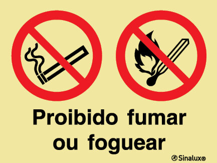 P2131 PVC fotoluminescente 800x600 TIPO 3