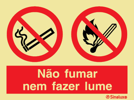 P2132 PVC fotoluminescente 400x300 TIPO 1