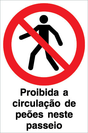 P3709 PVC fotoluminescente 400x600 TIPO 1